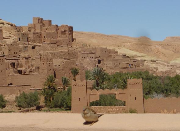 La Perle du Sud Hotel Ouarzazate Riad Ouarzazate :  services pour Handicapés